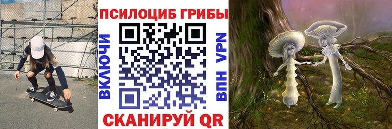 Галлюциногенные грибы ЛСД  продажа наркотиков  omg ссылка  Кологрив 